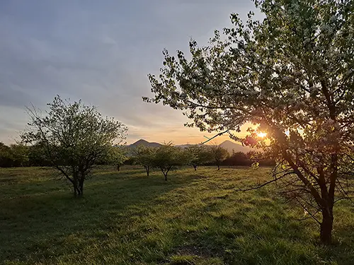 Fotografie před úpravou
